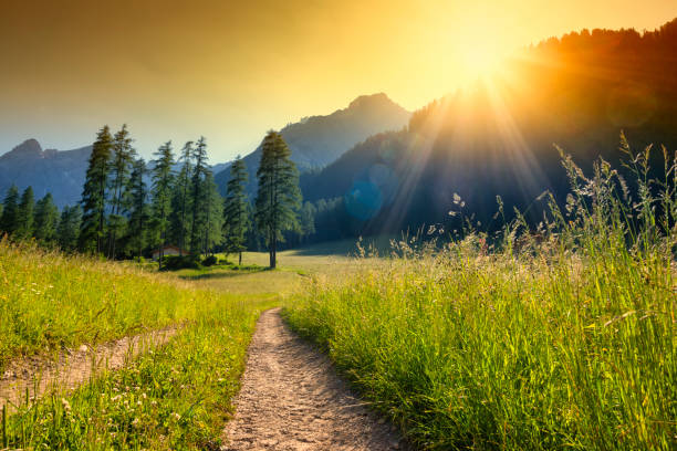 Soft dawn landscape with a winding morning walking path through gentle hills